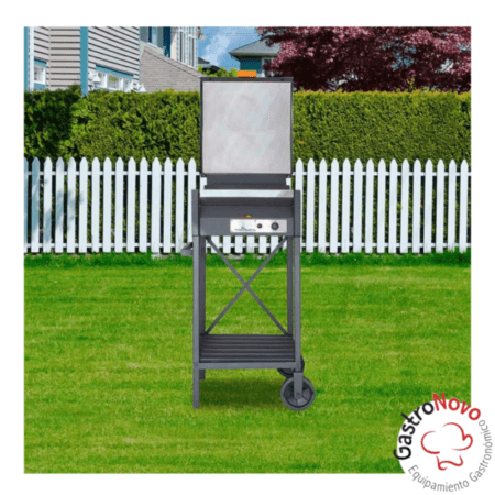 Parrilla Angus Tromen Chica a Gas con Base 50x60 - Imagen 3