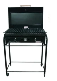 Combo Parrilla 600 X 450 Con Tapa Y Base Lourdes