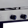 Horno Pizzero Rotisero De 18 Moldes A Gas - Imagen 2