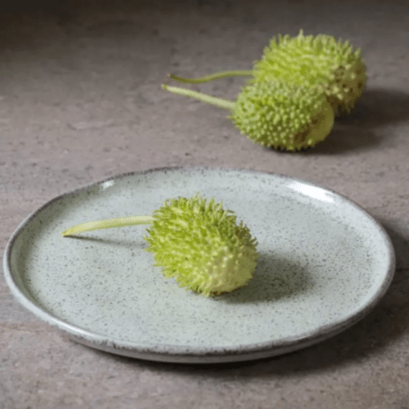 Set X 4 Plato Postre 21.5cm Pistache Porto Brasil Stoneware - Imagen 2