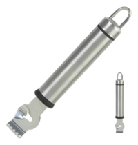 Rallador Zester Para Limon De Acero Inoxidable